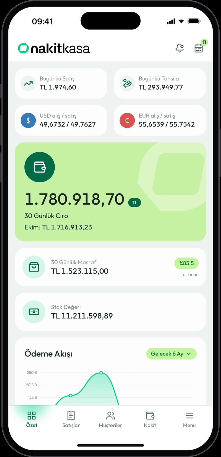 NakitKasa telefon uygulaması, İşletme Özeti